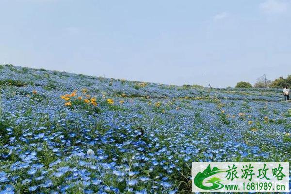 2020石象湖风景区门票价格和优惠政策和旅游攻略