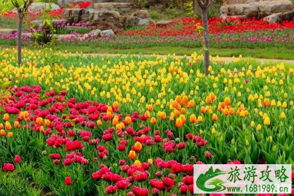 北京国际鲜花港停车场哪个门 停车费多少钱 北京国际鲜花港停车场哪个门 停车费多少钱