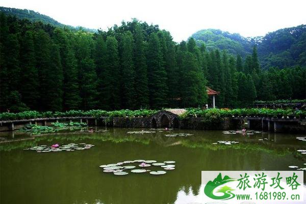 2020仙湖植物园门票预约 仙湖植物园现在开放吗 2020仙湖植物园门票预约 仙湖植物园现在开放吗