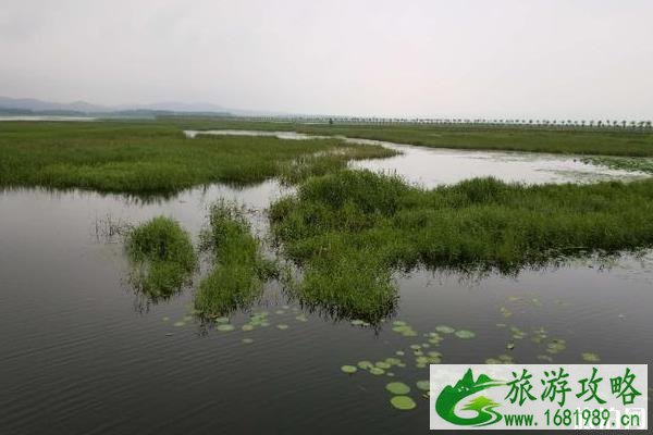 2020年天津于桥水库钓鱼攻略 2020年天津于桥水库钓鱼攻略