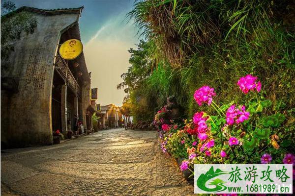 篁岭鲜花小镇旅游攻略