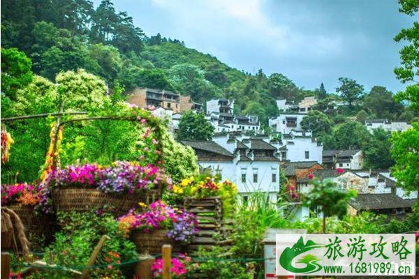篁岭鲜花小镇旅游攻略