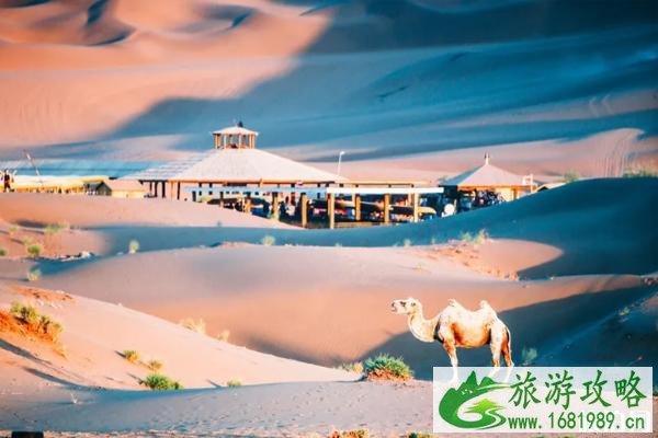 五一适合旅游的地方 国内春季比较推荐的景点 五一适合旅游的地方 国内春季比较推荐的景点