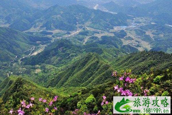 巾子峰森林公园游玩攻略 日出时间