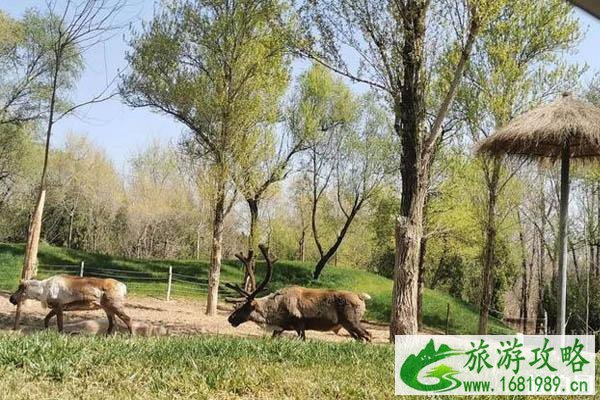 北京京郊春季旅游景点推荐 京郊春游攻略 北京京郊春季旅游景点推荐 京郊春游攻略