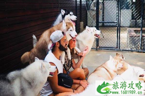 泰国曼谷网红景点推荐