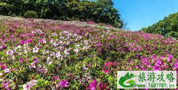 孙文纪念公园要门票吗 孙文纪念公园要门票吗