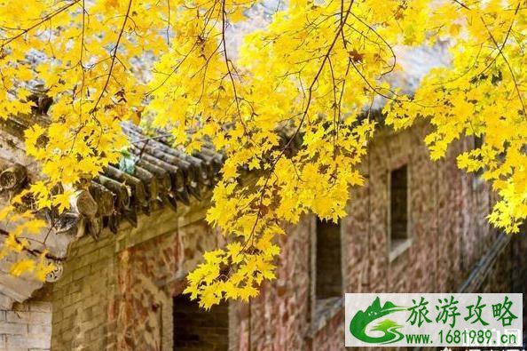 北京哪里适合秋游 北京哪里适合秋游