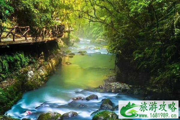 2020年巴山大峡谷景区免费开放时间
