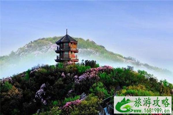 2020金佛山杜鹃花什么时候开 金佛山门票多少钱和优惠信息