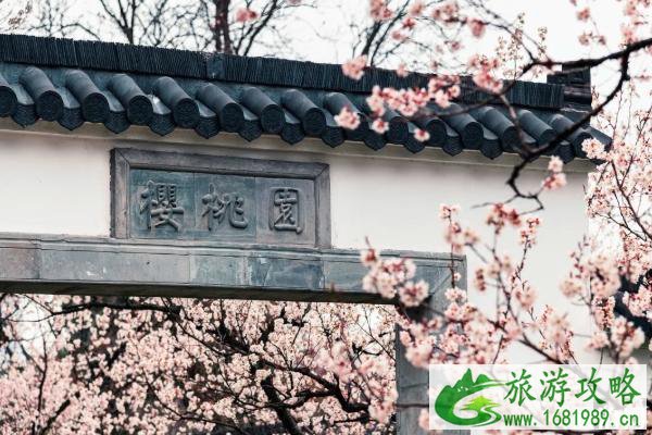 清明节去哪玩合适 2020清明节去哪里赏花