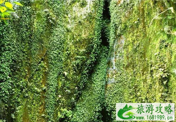 2020赤水丹霞景区门票优惠免费政策活动时间 2020赤水丹霞景区门票优惠免费政策活动时间