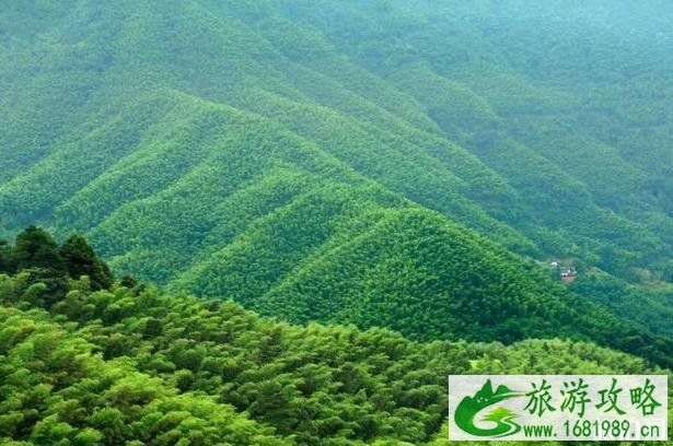 2020赤水丹霞景区门票优惠免费政策活动时间 2020赤水丹霞景区门票优惠免费政策活动时间