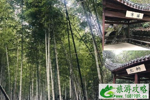 2020淡竹休闲谷门票免费政策