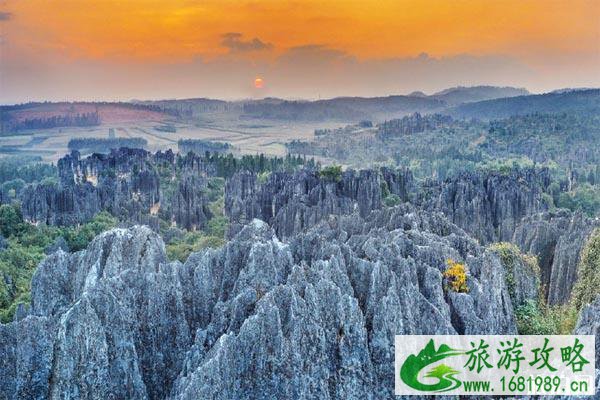 2020石林风景区开放了吗 门票优惠政策和开放时间