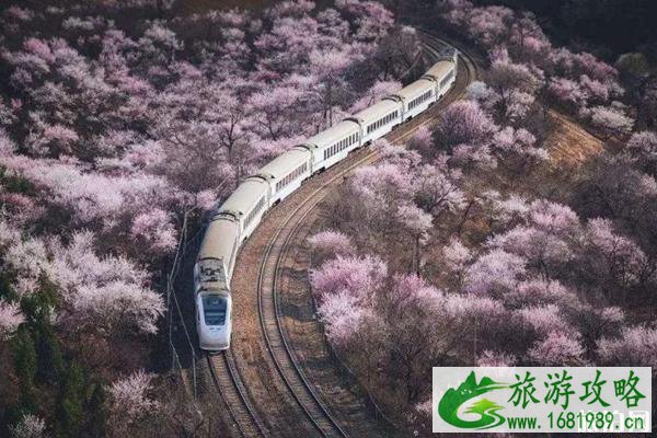 北京春天适合去哪玩 4月北京去哪玩比较好 北京春天适合去哪玩 4月北京去哪玩比较好