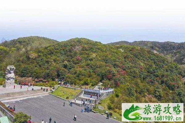 2020百里杜鹃花门票免费优惠政策