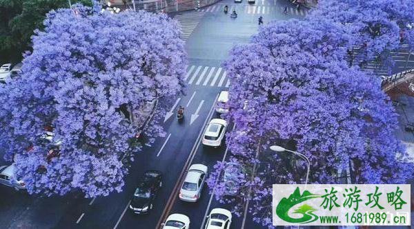 西昌有什么好玩的地方或者景点 西昌有什么好玩的地方或者景点