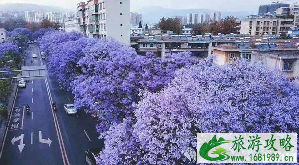 西昌有什么好玩的地方或者景点 西昌有什么好玩的地方或者景点