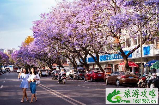 西昌有什么好玩的地方或者景点 西昌有什么好玩的地方或者景点