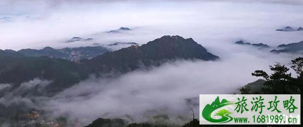 2020年中国佛教四大名山全部恢复对外开放 2020年中国佛教四大名山全部恢复对外开放