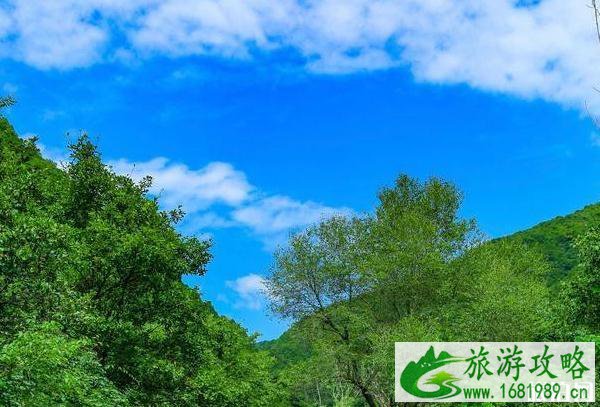 薛家寨景区开放了吗 2020薛家寨景区开放时间 薛家寨景区开放了吗 2020薛家寨景区开放时间