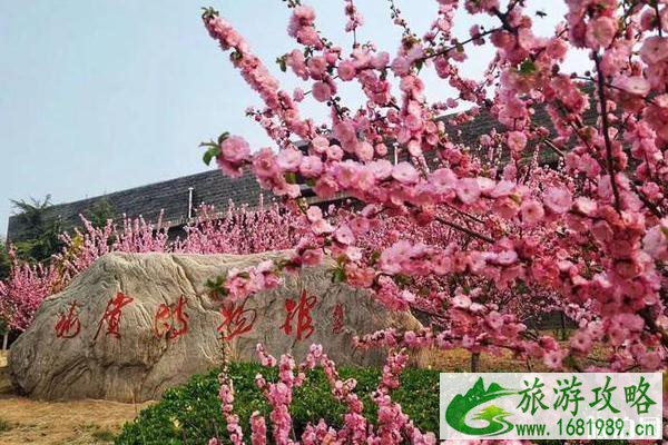 2020崆山白云洞赏花攻略指南