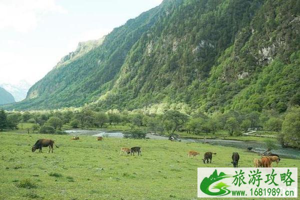 四姑娘山自由行攻略 四姑娘山自由行攻略