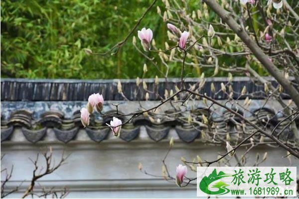 2020苏州赏花的地方推荐