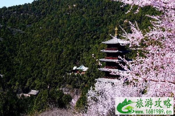 太山龙泉寺一日游旅游攻略 太山龙泉寺一日游旅游攻略