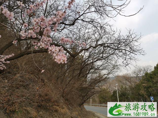 潭柘寺骑行路线及攻略 潭柘寺骑行路线及攻略
