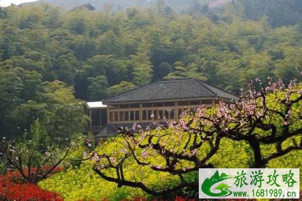 2020城山沟桃花开了吗和观赏攻略