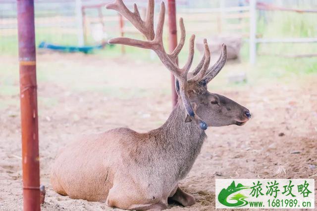 2020布尔津县所有景区免费对外开放 2020布尔津县所有景区免费对外开放