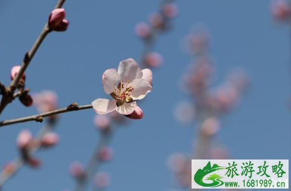 北京高芹路自驾游路线及攻略 北京高芹路自驾游路线及攻略
