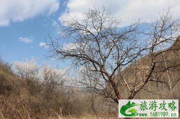 北京高芹路自驾游路线及攻略 北京高芹路自驾游路线及攻略