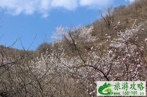 北京高芹路自驾游路线及攻略 北京高芹路自驾游路线及攻略