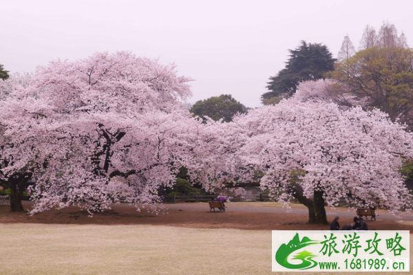 2020无锡拈花湾樱花蝴蝶节活动时间及活动信息 无锡蠡园开放了吗 2020无锡拈花湾樱花蝴蝶节活动时间及活动信息 无锡蠡园开放了吗