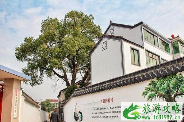 章镇镇张村樱花谷樱花什么时候开 怎么去