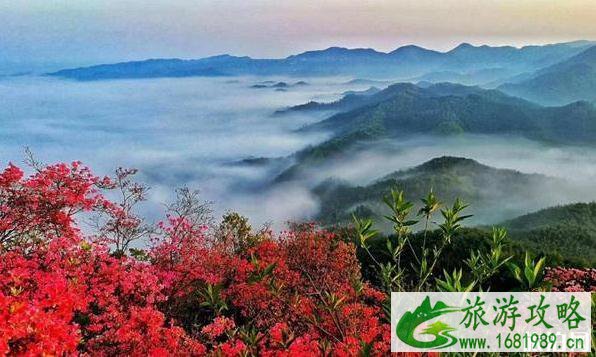 大别山详细介绍 大别山有什么好玩的地方 大别山详细介绍 大别山有什么好玩的地方