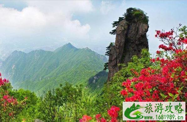 大别山详细介绍 大别山有什么好玩的地方 大别山详细介绍 大别山有什么好玩的地方