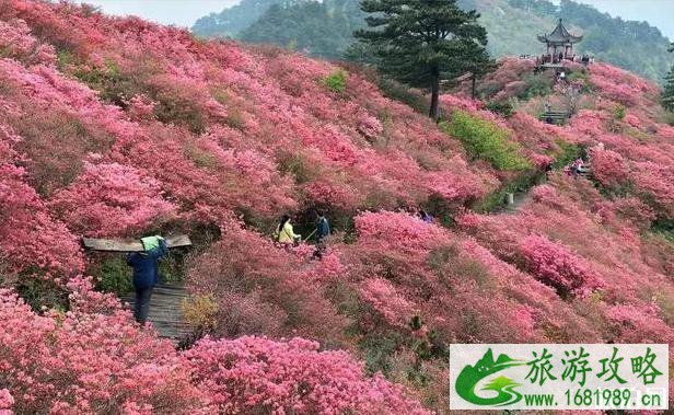 大别山详细介绍 大别山有什么好玩的地方 大别山详细介绍 大别山有什么好玩的地方