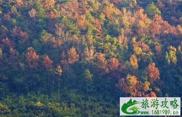 新兴天露山好玩吗 新兴天露山徒步攻略 新兴天露山好玩吗 新兴天露山徒步攻略