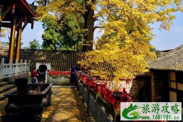 云顶山石头城堡介绍