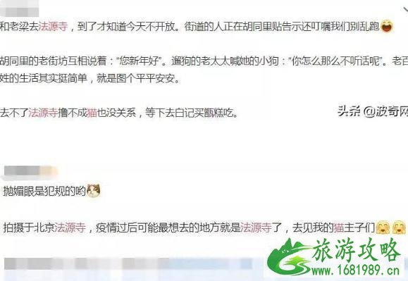 北京法源寺为什么有很多猫 北京法源寺为什么有很多猫