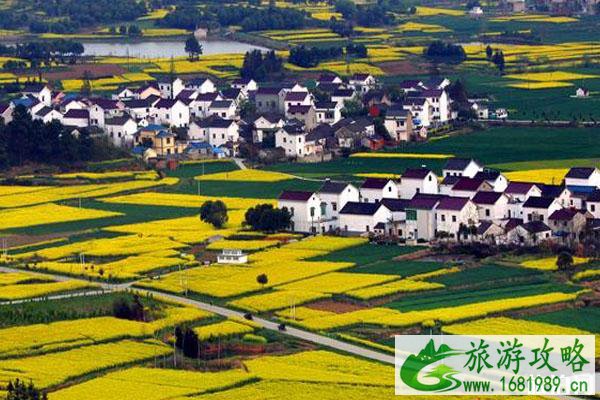 2020高淳国际慢城金花节门票预约和时间和线上观看信息