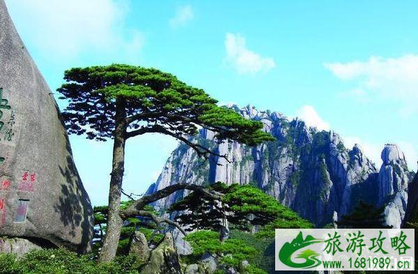 中国排名前十名的大山有哪些 中国排名前十名的大山有哪些