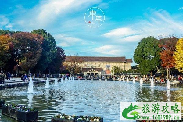 2020东京上野公园樱花开放 禁止游客野餐