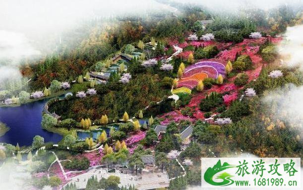 南山植物园杜鹃专项园介绍