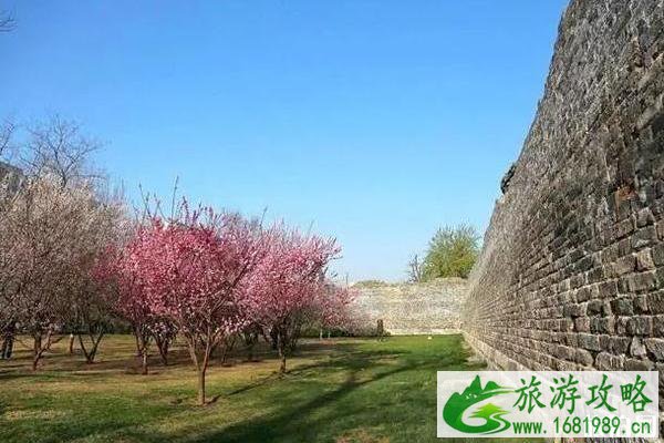 2020北京赏花时间表 地点+时间 2020北京赏花时间表 地点+时间