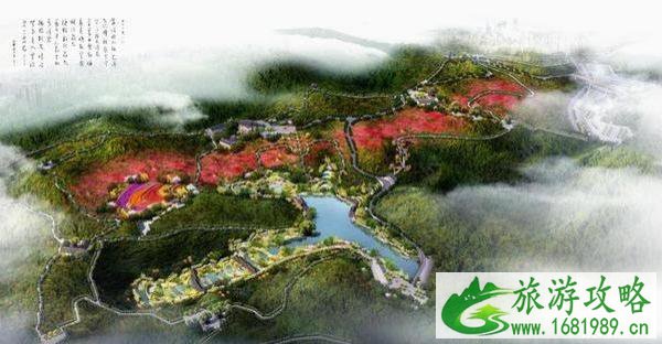 南山植物园杜鹃专项园介绍
